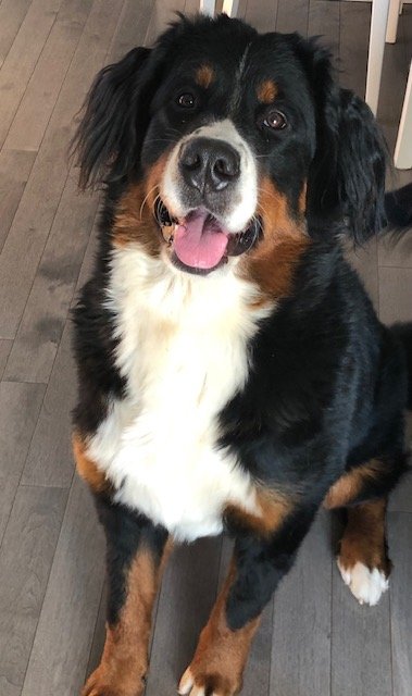 Mya 2